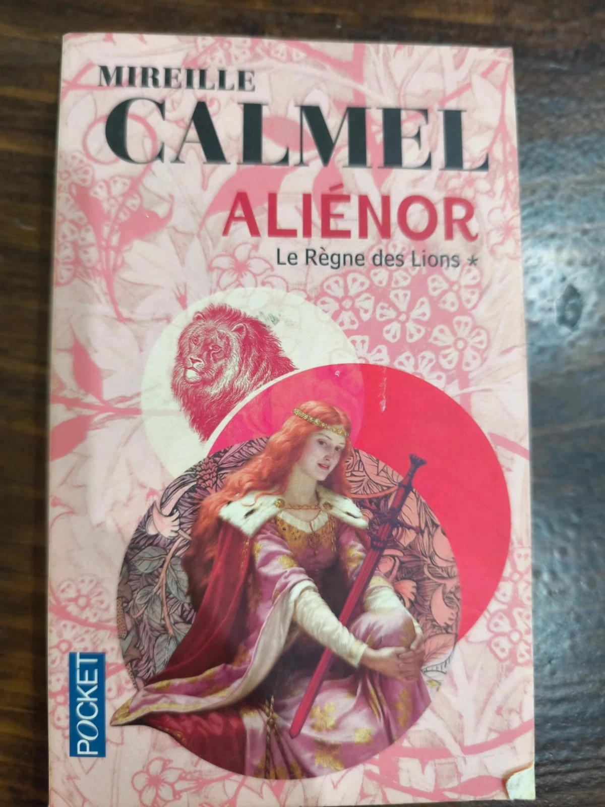 Aliénor le règne des lions